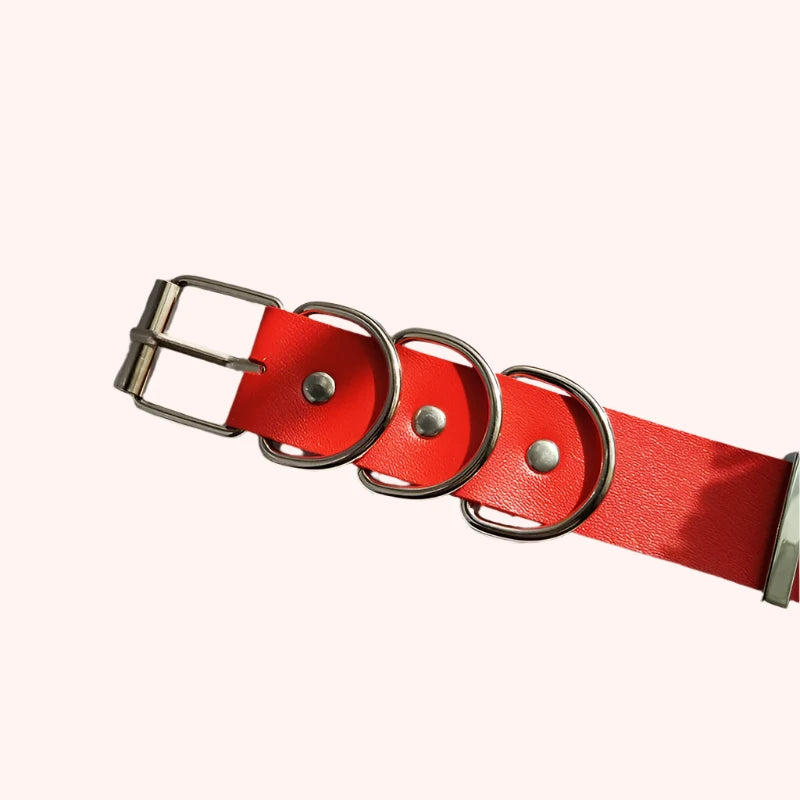 Worded Collars