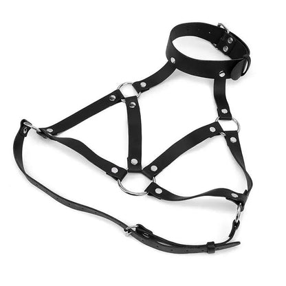 Leather Harness