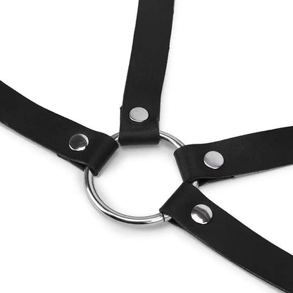 Leather Harness